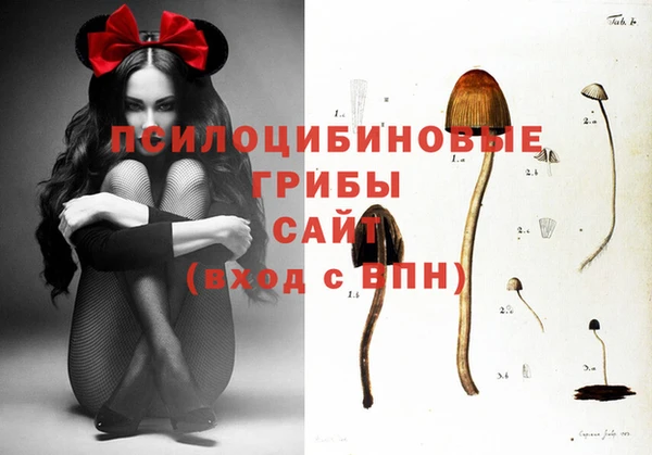 соль курить ск Баксан