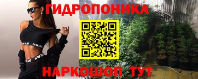 прущие грибы Тула