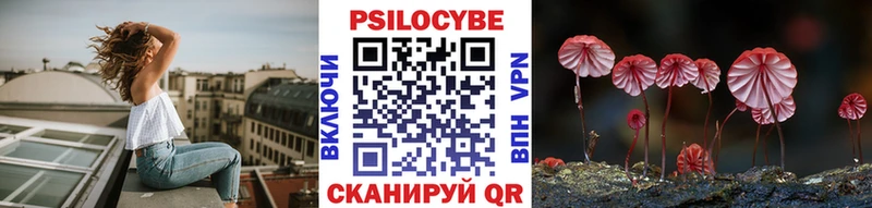 Галлюциногенные грибы Psilocybine cubensis Пятигорск
