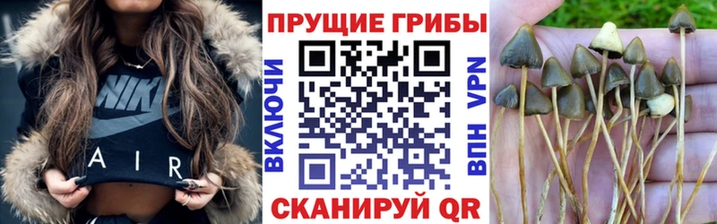 Галлюциногенные грибы Magic Shrooms  закладки  Пятигорск 