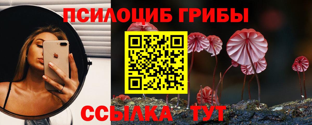 Галлюциногенные грибы мухоморы  Галлюциногенные грибы Psilocybine cubensis  Пятигорск  Вход с VPN 